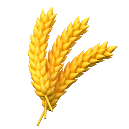 Weizen  3D Icon