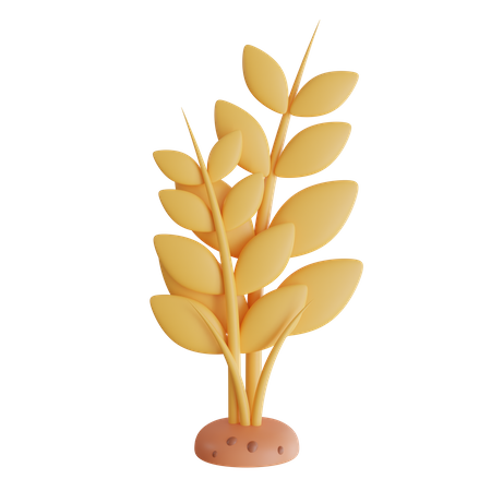 Weizenpflanze  3D Icon
