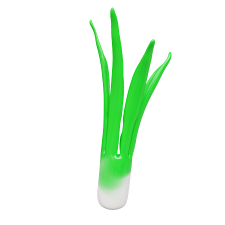 Welsh Onion  3D Icon