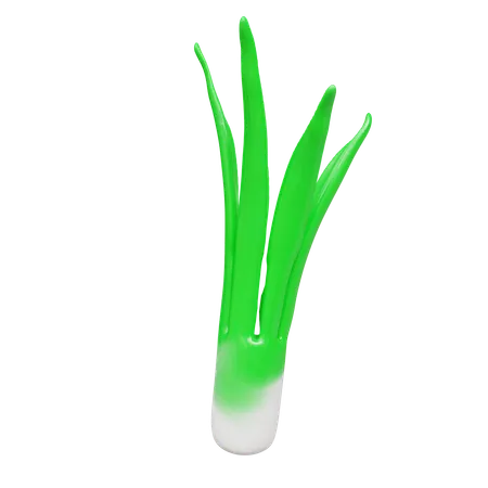 Welsh Onion  3D Icon