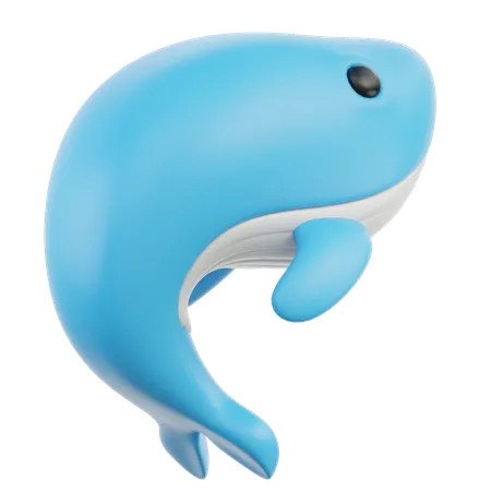 Whale  3D Icon