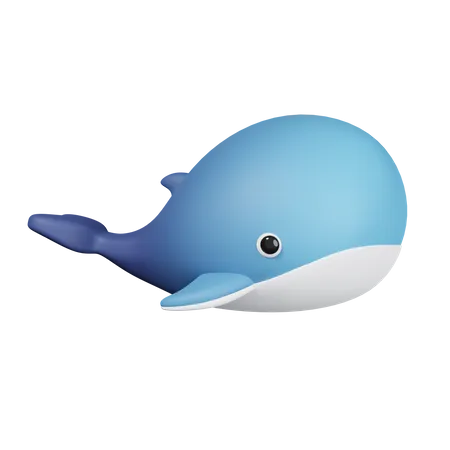 Whale  3D Icon