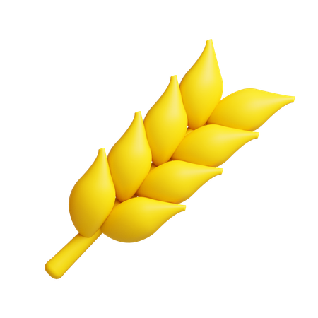 Wheat  3D Icon