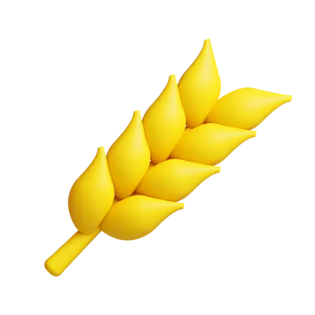 Wheat  3D Icon