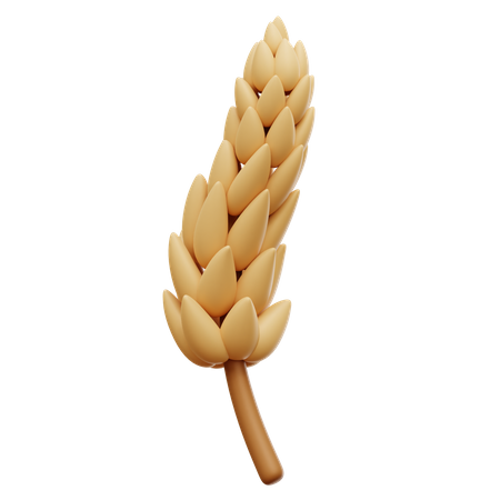 Wheat  3D Icon