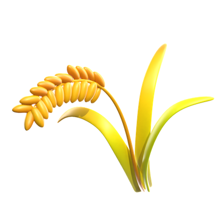 Wheat  3D Icon