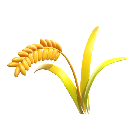 Wheat  3D Icon