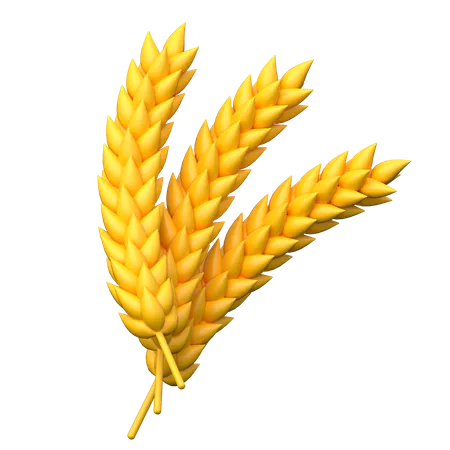 Wheat  3D Icon