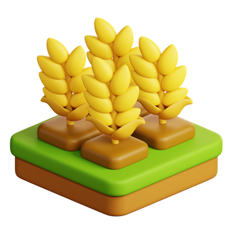 Wheat  3D Icon