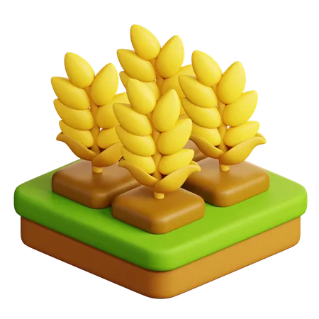 Wheat  3D Icon