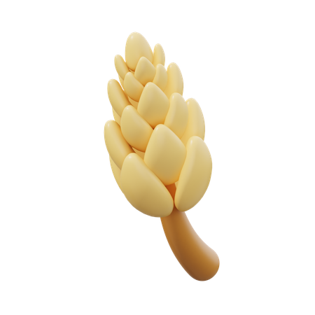 Wheat  3D Icon