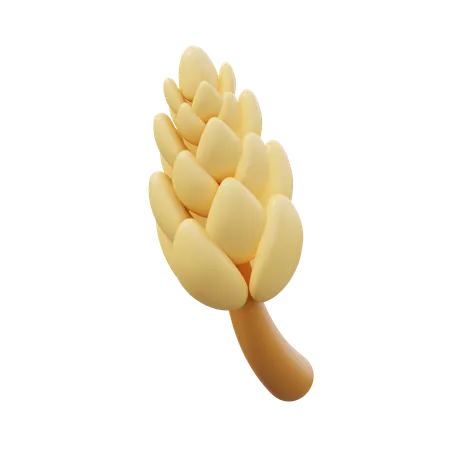 Wheat  3D Icon
