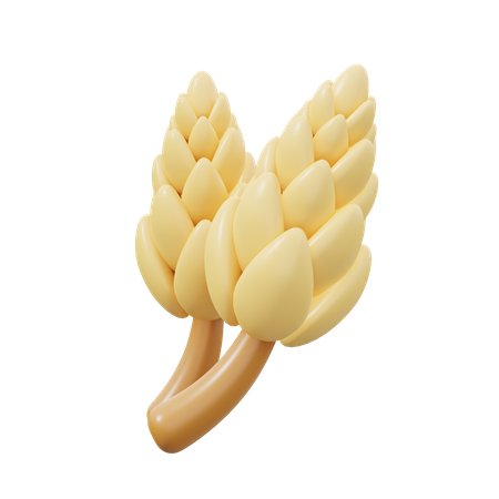 Wheat  3D Icon