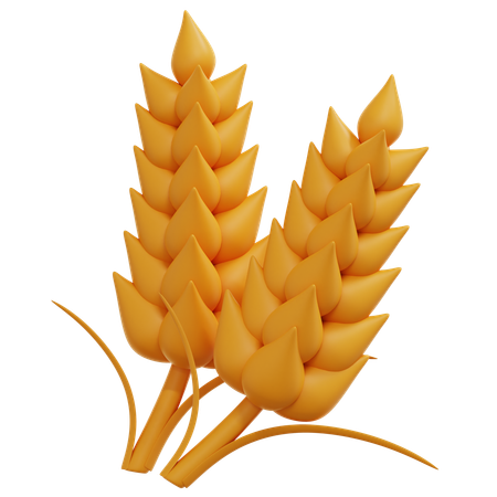 Wheat  3D Icon