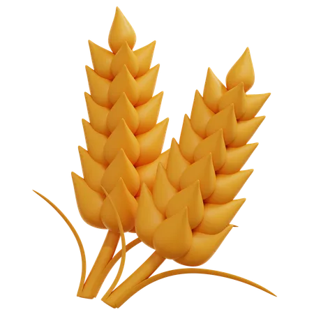 Wheat  3D Icon