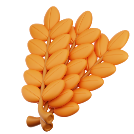 Wheat  3D Icon