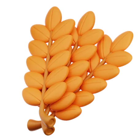 Wheat  3D Icon