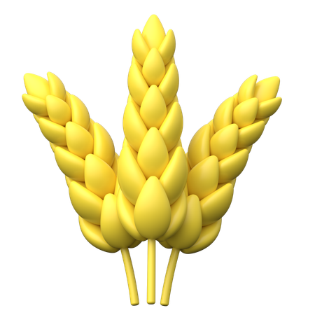 Wheat  3D Icon