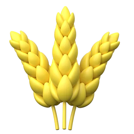 Wheat  3D Icon