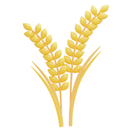 Wheat  3D Icon