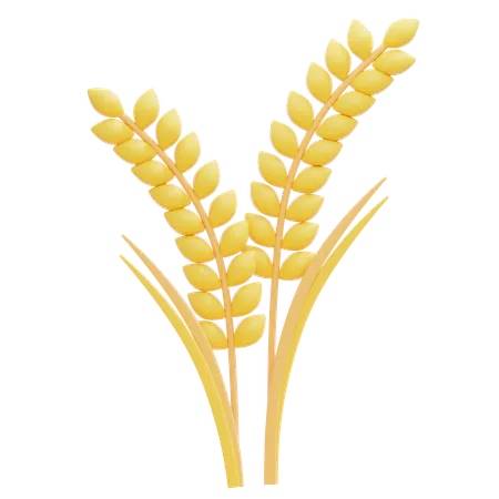 Wheat  3D Icon