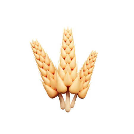 Wheat  3D Icon