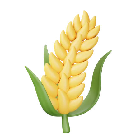 Wheat  3D Icon