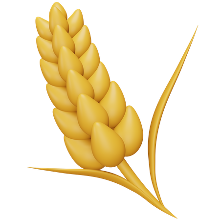 Wheat  3D Icon