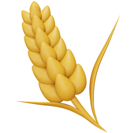 Wheat  3D Icon