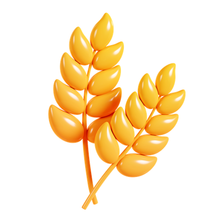 Wheat  3D Icon