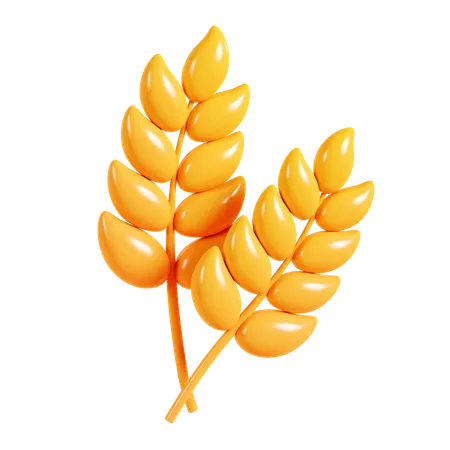 Wheat  3D Icon