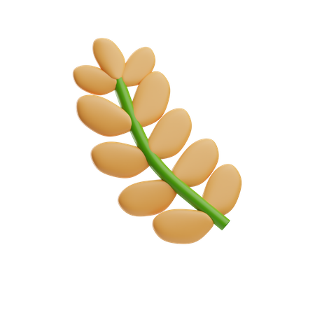 Wheat  3D Icon