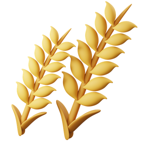 Wheat  3D Icon