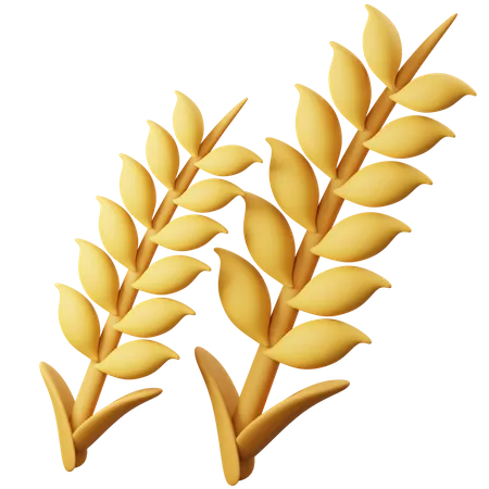 Wheat  3D Icon