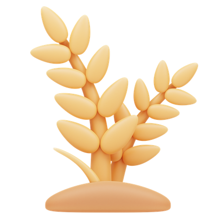 Wheat  3D Icon