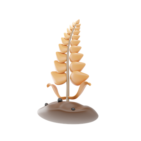 Wheat  3D Icon