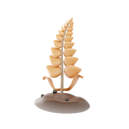 Wheat  3D Icon