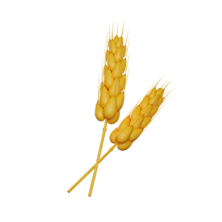 Two Ears Of Wheat 3 D Render Icon 3D Icon