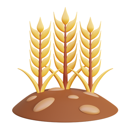 Wheat Farm  3D Icon