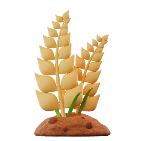 밀 농사  3D Icon