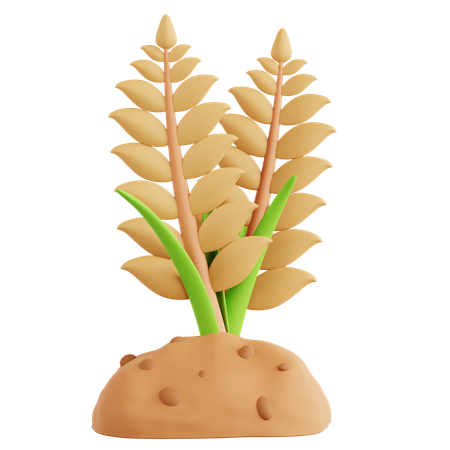 Wheat Farming  3D Icon