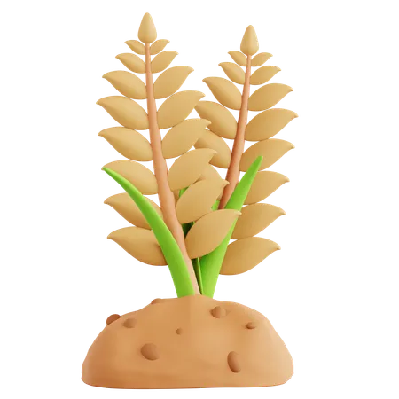 Wheat Farming  3D Icon