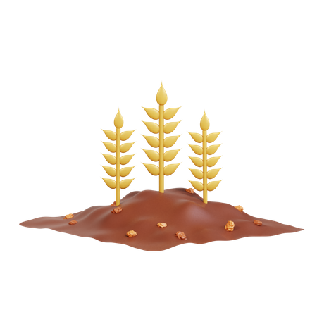 Wheat Farming  3D Icon