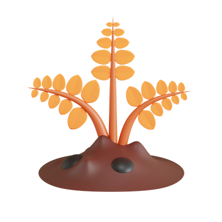 Wheat Farming  3D Icon