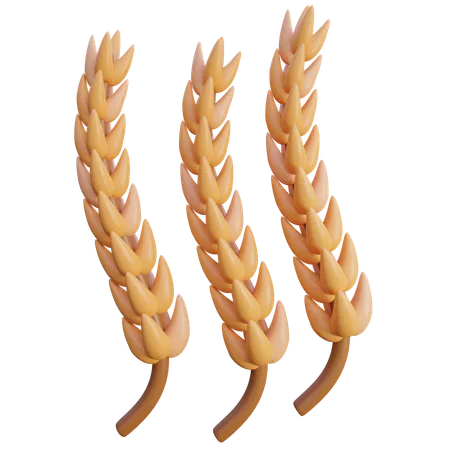 Wheat grains  3D Icon