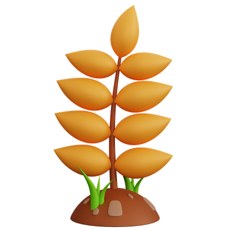 Wheat Plant  3D Icon