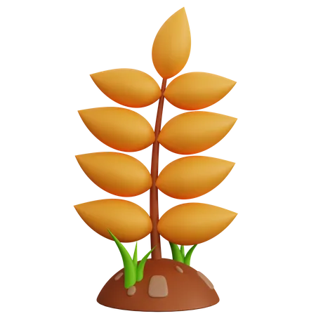 Wheat Plant  3D Icon