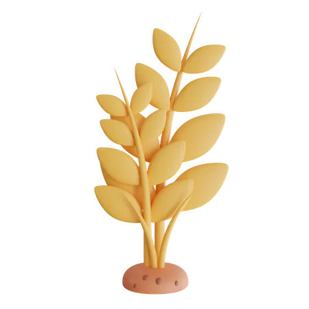 Wheat Plant  3D Icon