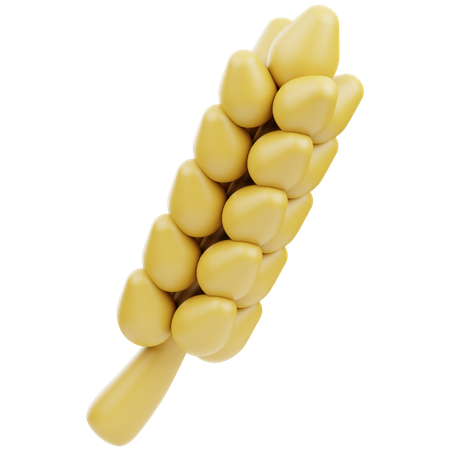 Wheat Plant  3D Icon