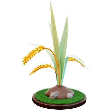 Wheat Plant  3D Illustration